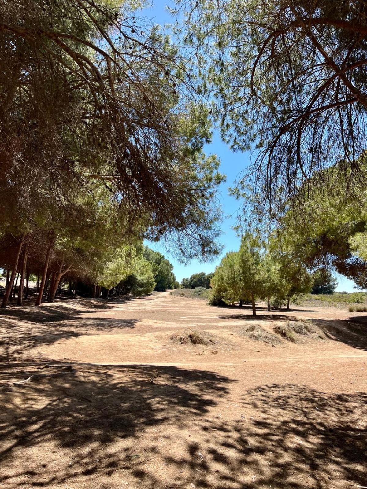 107 Sea Side - Alicante Holiday La Mata  Εξωτερικό φωτογραφία